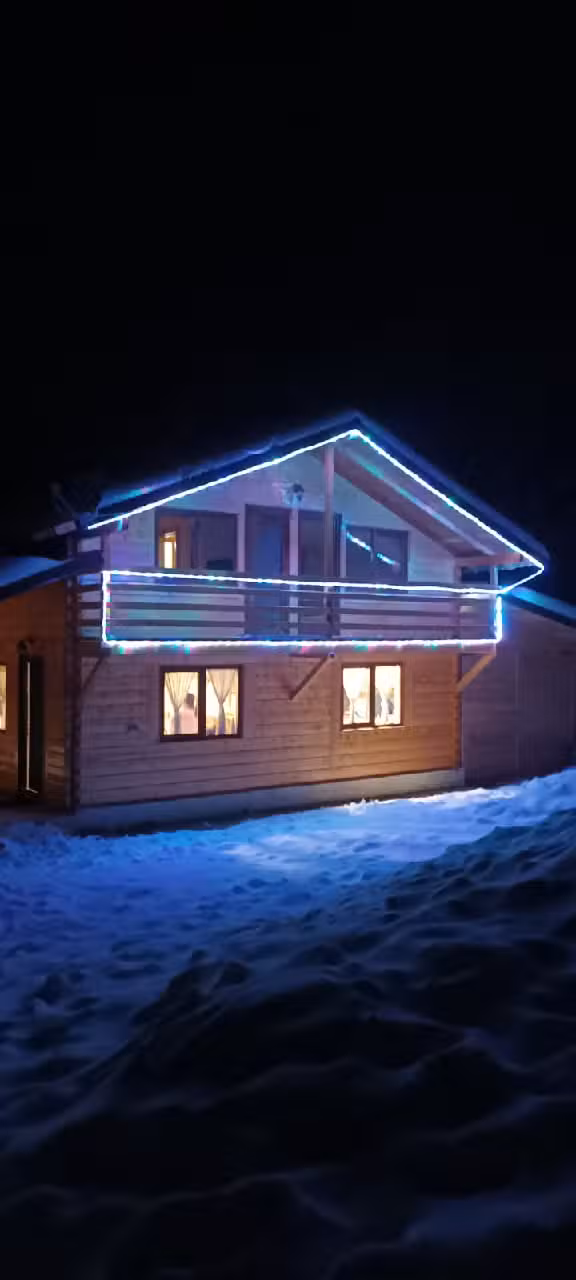 Vintage Style Buscat