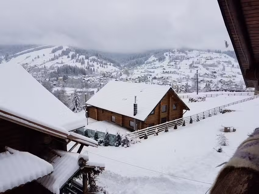 Vultur