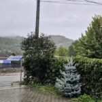 white house, vidraru