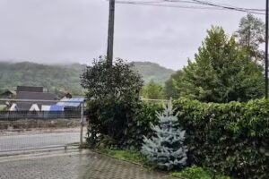 white house, vidraru