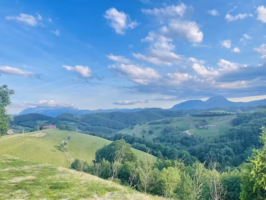 Wild Hill Frames