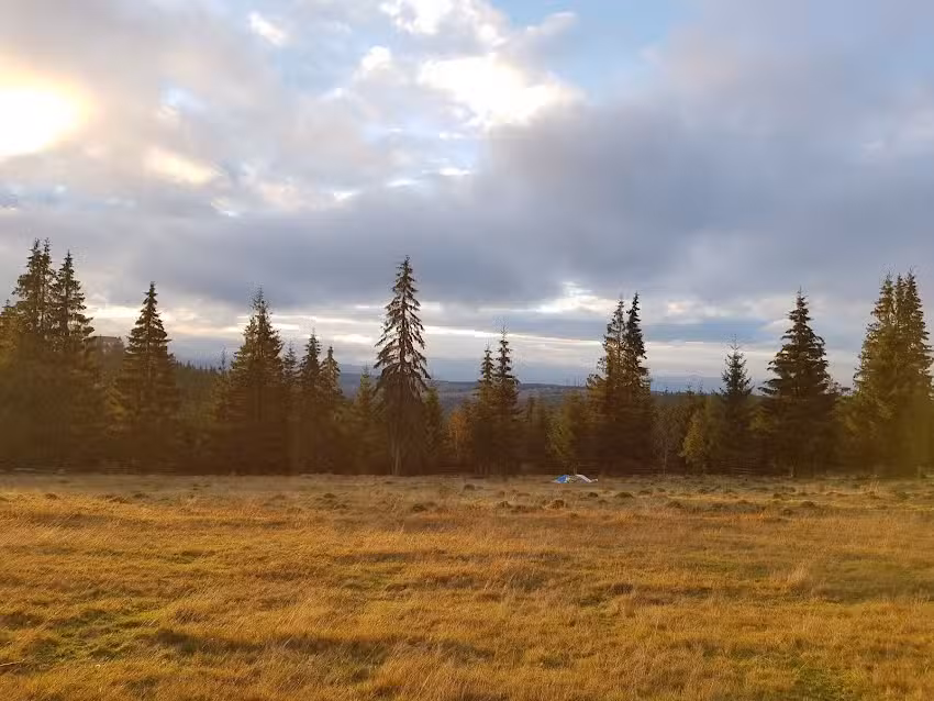 WooDy Glamping Resort