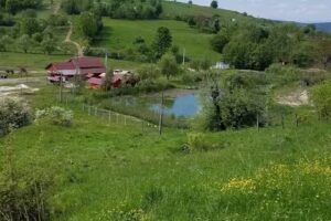 Youth Hostel Ocna Sugatag