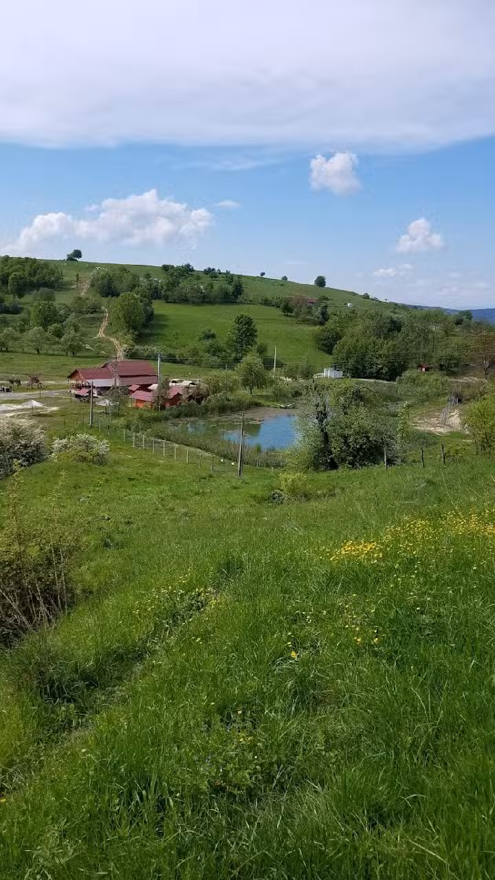 Youth Hostel Ocna Sugatag