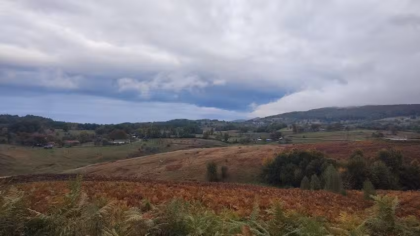 Zece Hotare (Maguran)