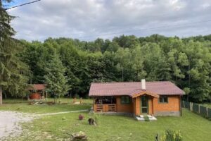 Zöld Fenyő Kulcsosház